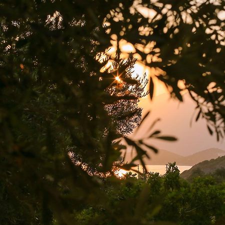 Kaktus Cakil Villa Kaş Exteriör bild