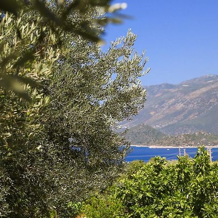 Kaktus Cakil Villa Kaş Exteriör bild