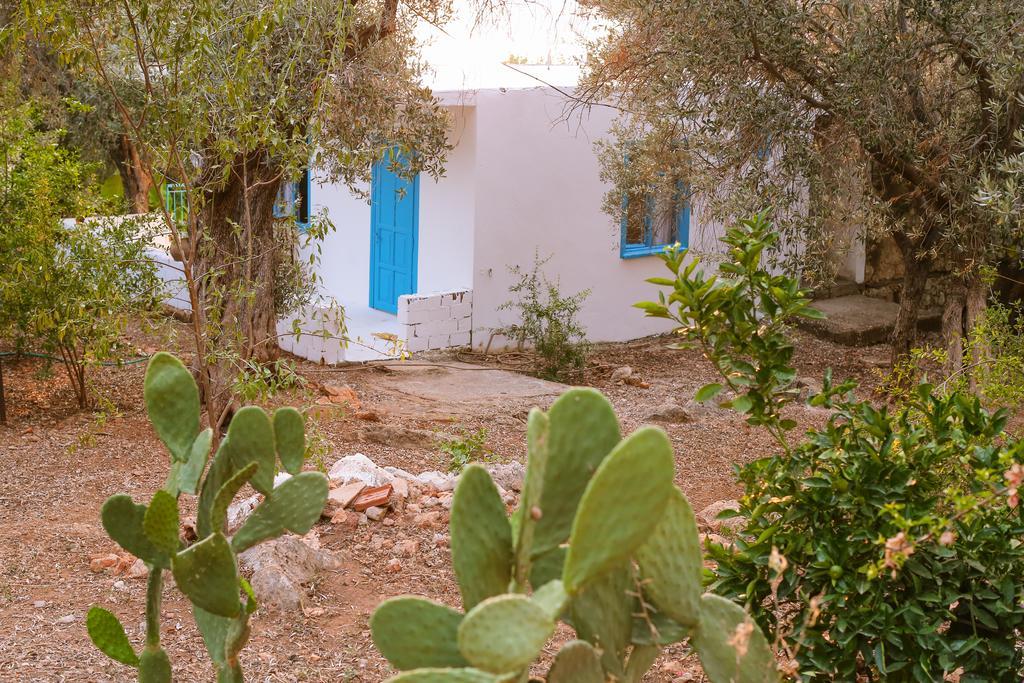 Kaktus Cakil Villa Kaş Exteriör bild