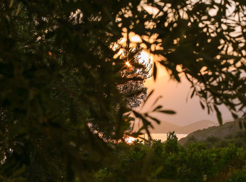 Kaktus Cakil Villa Kaş Exteriör bild