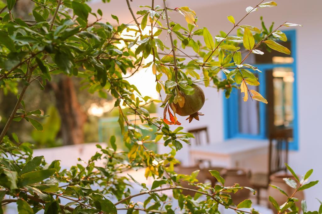 Kaktus Cakil Villa Kaş Exteriör bild