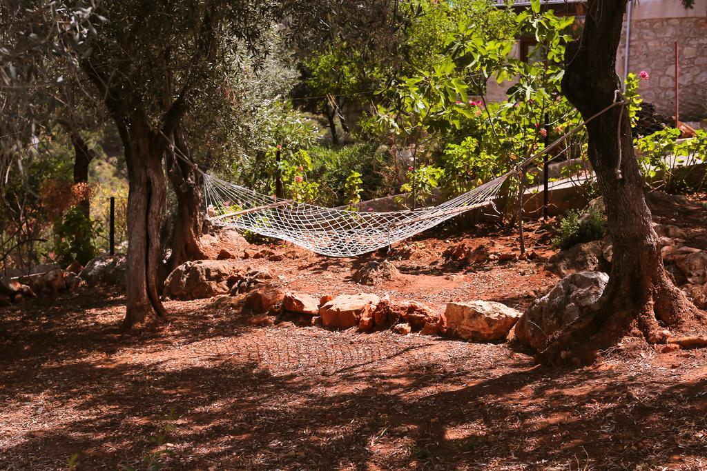 Kaktus Cakil Villa Kaş Exteriör bild